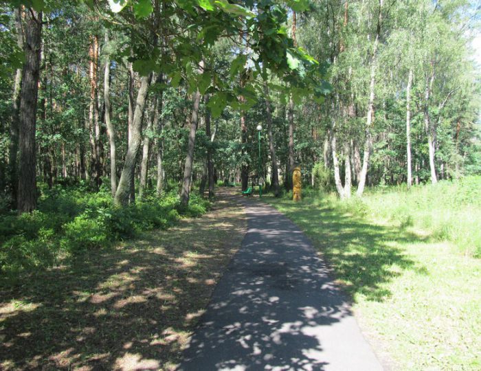 Климатолечение - Санаторий «Белая вежа»