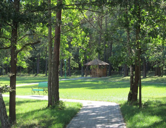 Климатолечение - Санаторий «Белая вежа»