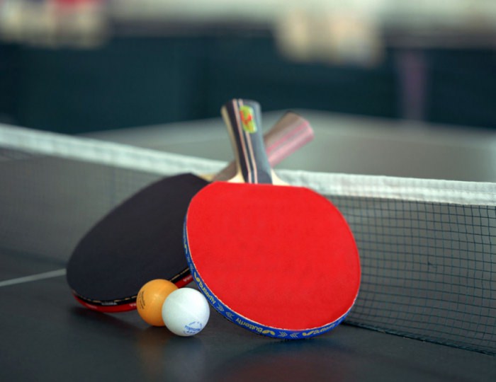 Настольный теннис - Санаторий «Белая вежа»